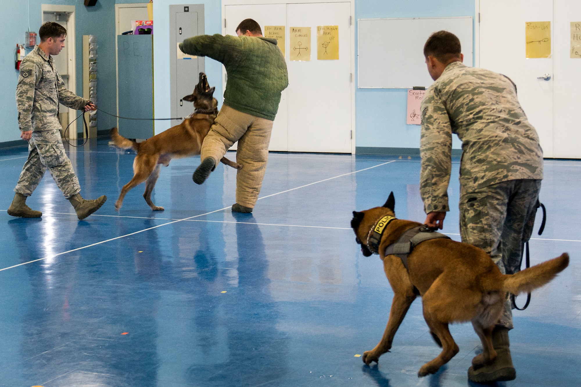 The “bad guy” is about to be attacked by Rex and Arko, two 96th Security Forces Squadron military working dogs, during a demonstration for Eglin Elementary School kids May 17 at Eglin Air Force Base, Fla.  The event was in celebration of National Police Week.  More than 100 children watched two MWD teams perform obedience and attack displays.  (U.S. Air Force photo/Samuel King Jr.)
