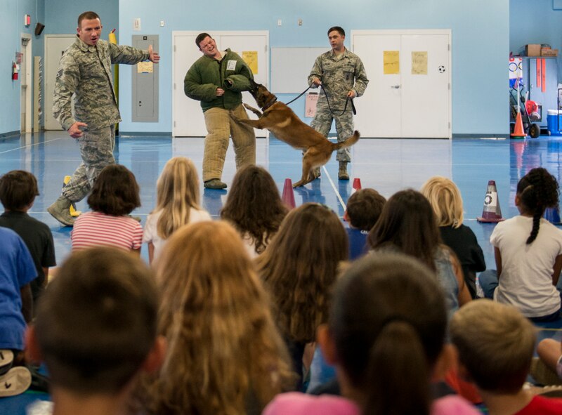 Airmen from the 96th Security Forces Squadron put on a military working dog demonstration for Eglin Elementary School kids May 17 at Eglin Air Force Base, Fla.  The event was in celebration of National Police Week.  More than 100 children watched two MWD teams perform obedience and attack displays.  (U.S. Air Force photo/Samuel King Jr.)