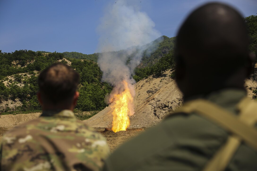 Explosive Ordnance Disposal technician Marine and Soldiers witness a successful ignitions of repellent during Korea EOD Exercise May 14, 2016 at Camp Rodriguez Live Fire Complex, South Korea. EOD performed burning operations to dispose of ammunition that can no longer be used.  This exercise allows them to increase their proficiency and familiarize themselves with different techniques through integration of a different branch. Soldiers are with 718th EOD Company, 23rd Chemical Battalion, 48th Chemical Brigade. Marines are with 3rd EOD Company, 9th Engineer Support Battalion, III Marine Expeditionary Force. (U.S. Marine Corps photo by Cpl. Isaac Ibarra/Released)