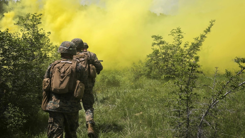 U.S. Marines with Bravo Company, Special Purpose Marine Air-Ground Task Force Crisis Response-Africa, move to their final objective after initiating smoke to maintain cover and concealment to conduct their final assault during Platinum Lion 16-3 at the Novo Selo Training Area, Bulgaria, May 14, 2016. During the exercise, Allies from the United States and four partner nations conducted platoon-level mechanized tactics in order to develop proficiency in fire and maneuver. 