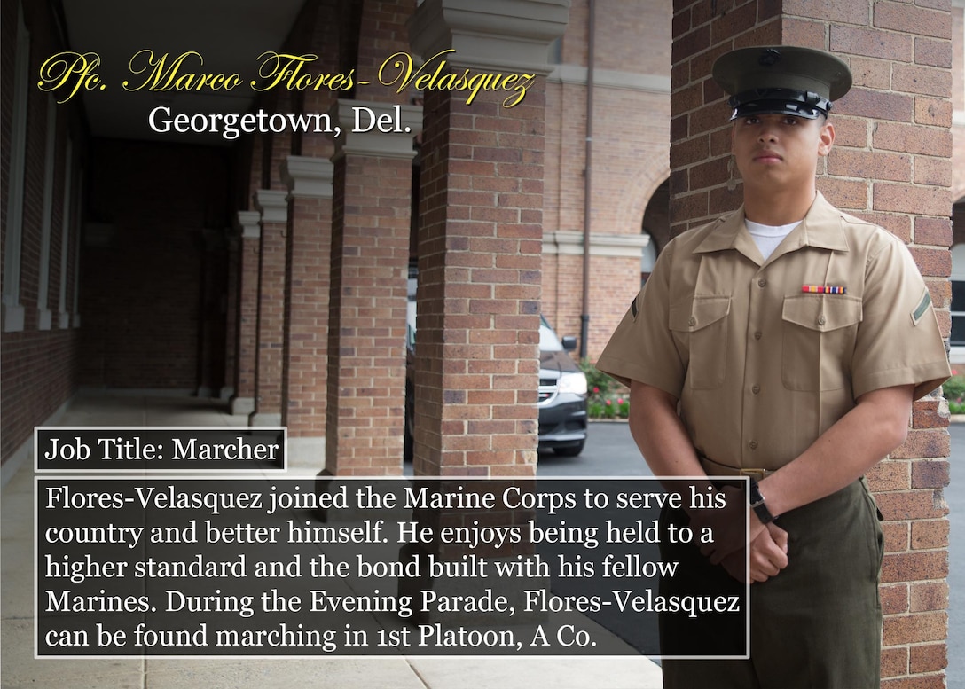Pfc. Marco Flores-Velasquez
Georgetown, Del.
Job Title: Marcher
Flores-Velasquez joined the Marine Corps to serve his country and better himself. He enjoys being held to a higher standard and the bond built with his fellow Marines. During the Evening Parade, Flores-Velasquez can be found marching in 1st Platoon, A Co.
(Official Marine Corps graphic by Cpl. Chi Nguyen/Released)
