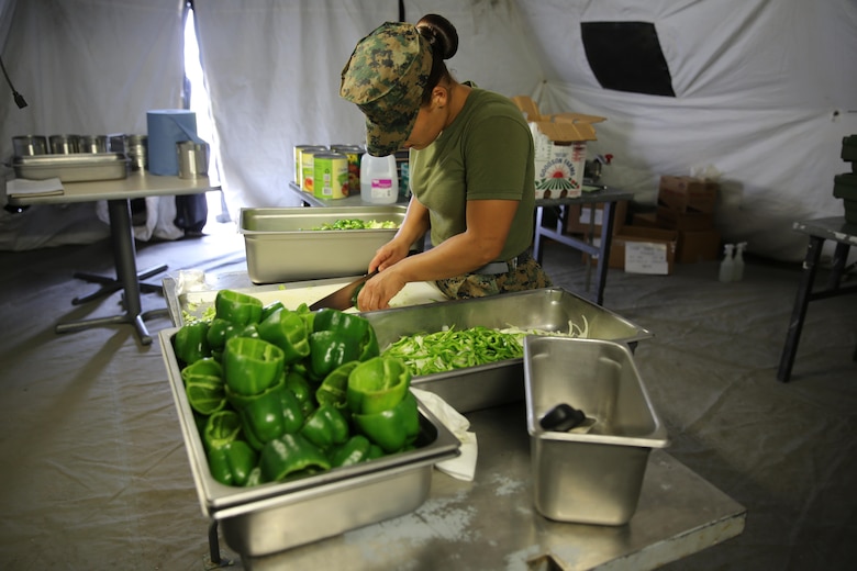 Lance Cpl. Sanchez chops vegetables in preparation for serving more than 300 Marines at evening chow during Marine Expeditionary Force Exercise 2016, at Marine Corps Air Station Cherry Point, N.C., May 11, 2016. MEFEX 16 is designed to synchronize and bring to bear the full spectrum of II MEF’s command and control capabilities in support of a Marine Air-Ground Task Force. (U.S. Marine Corps photo by Lance Cpl. Mackenzie Gibson/Released)