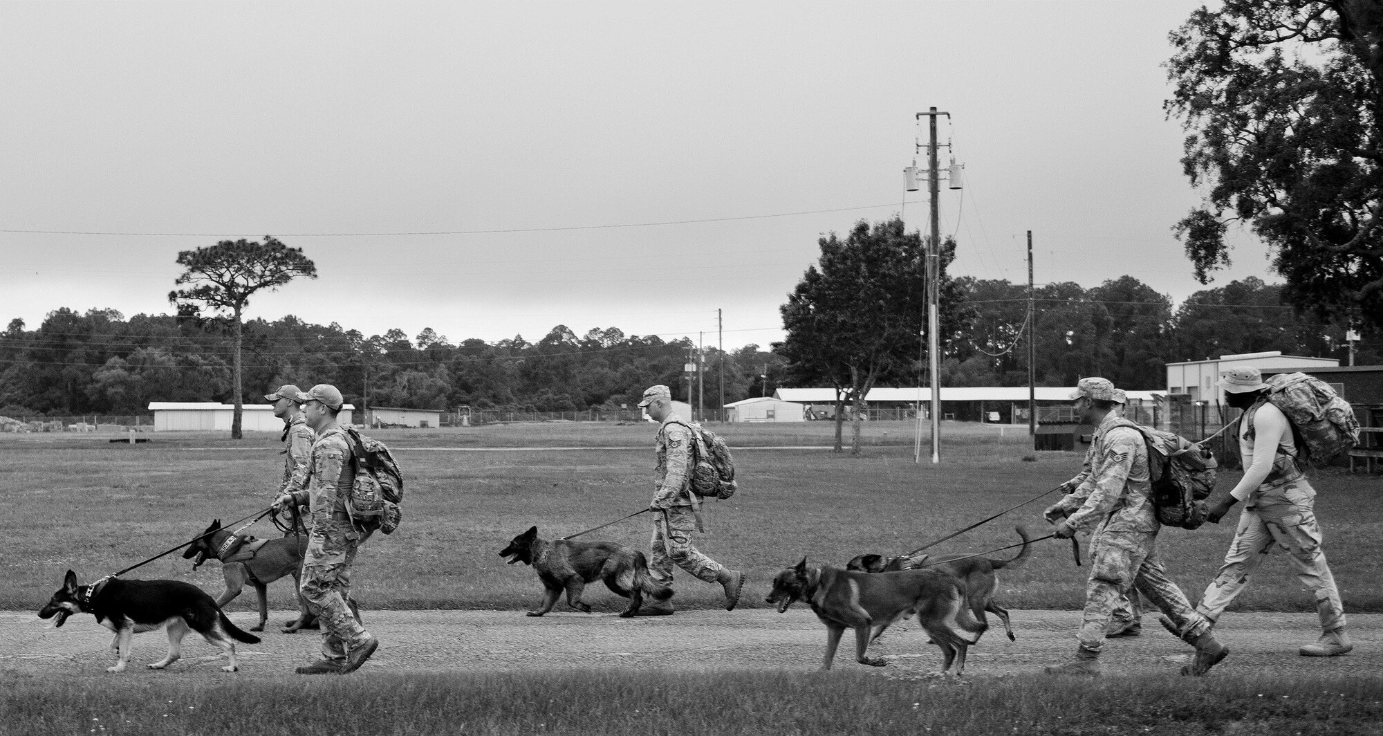 The 96th Security Forces Squadron’s military working dog teams walk through the rain to support the National Police Week 5k May 18 at Eglin Air Force Base, Fla.  (U.S. Air Force photo/Samuel King Jr.)