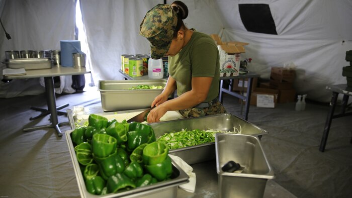 Lance Cpl. Sanchez chops vegetables in preparation for serving more than 300 Marines at evening chow during Marine Expeditionary Force Exercise 2016, at Marine Corps Air Station Cherry Point, N.C., May 11, 2016. MEFEX 16 is designed to synchronize and bring to bear the full spectrum of II MEF’s command and control capabilities in support of a Marine Air-Ground Task Force. 