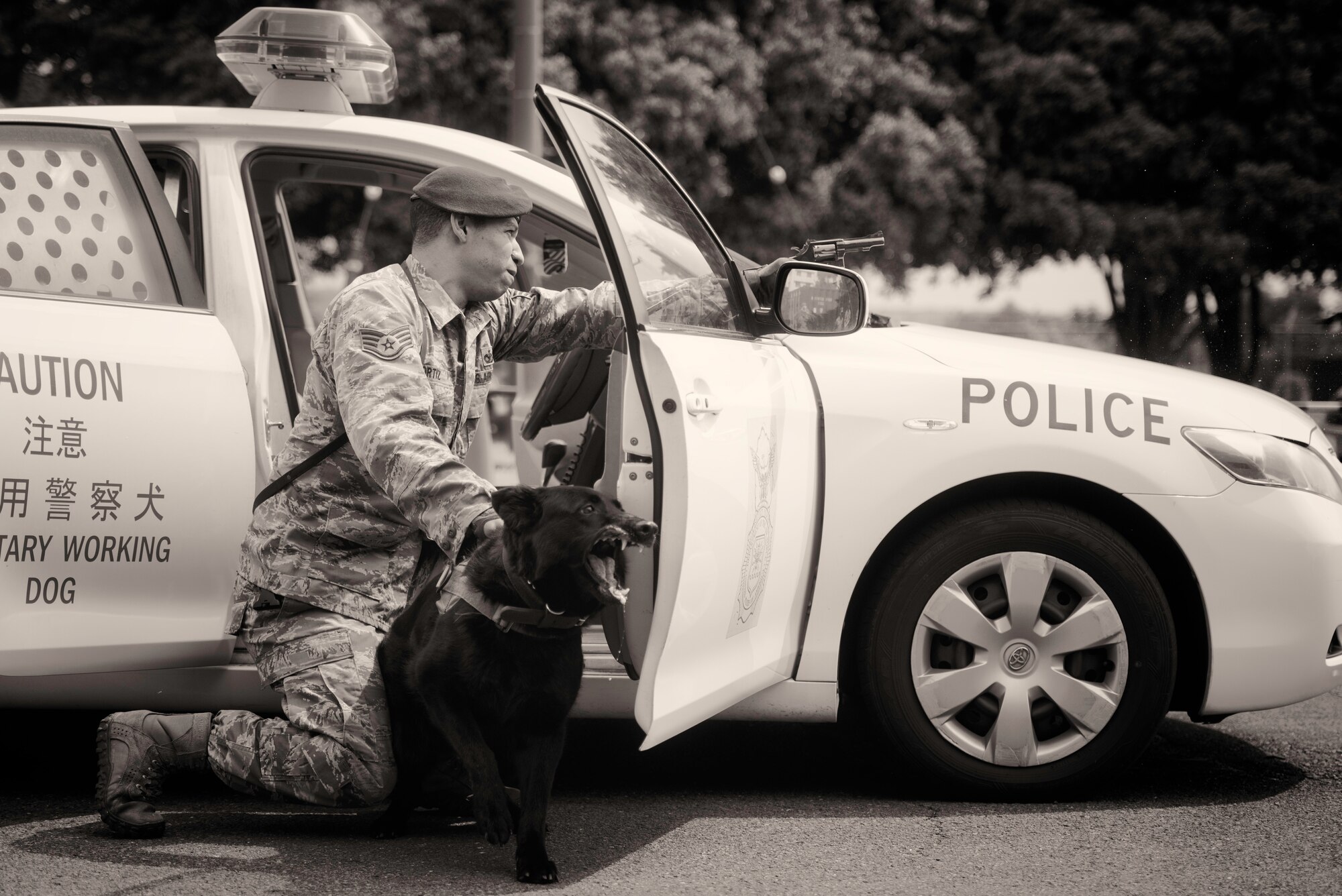 Staff Sgt. Edwin Ortiz, 374th Security Forces Squadron military working dog handler keeps his canine, Stella, at the ready while simulating armed combat during Yokota’s Top Dog competition at Yokota Air Base, Japan, May 16, 2016. Seven canine teams competed in the event as part of Police Week, which honors Security Forces Airmen, Air Force Office of Special Investigations agents and all other law enforcement officers who have served. (U.S. Air Force photo by Airman 1st Class Elizabeth Baker/Released)