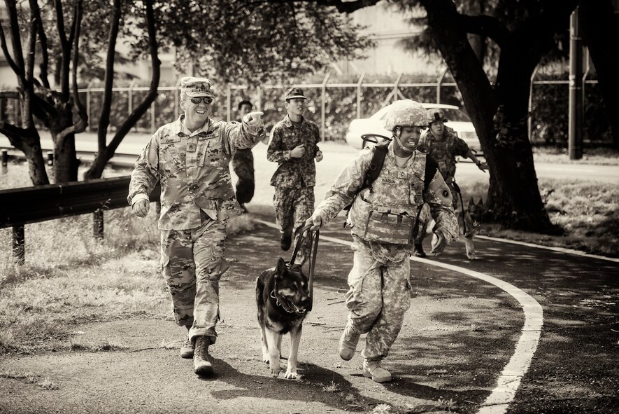 Participants of Yokota’s Top Dog competition race each other at Yokota Air Base, Japan, May 16, 2016. Canine teams from three U.S. and Japanese bases as well as Government of Japan Customs participated in Yokota’s Top Dog competition, which showcased the dogs and their handlers’ ability to work together through bomb and drug detection, building search and relay races. (U.S. Air Force photo by Airman 1st Class Elizabeth Baker/Released) 