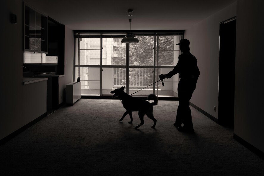 Okawara Dadashi, Narita Customs detection dog handler, and his canine, Kei, search a room for simulated hostile combatants at Yokota Air Base, Japan, May 16, 2016. Seven canine teams competed in sweeping rooms for simulated enemy combatants and drugs while judges timed and scored their performances. (U.S. Air Force photo by Senior Airman Delano Scott/Released)