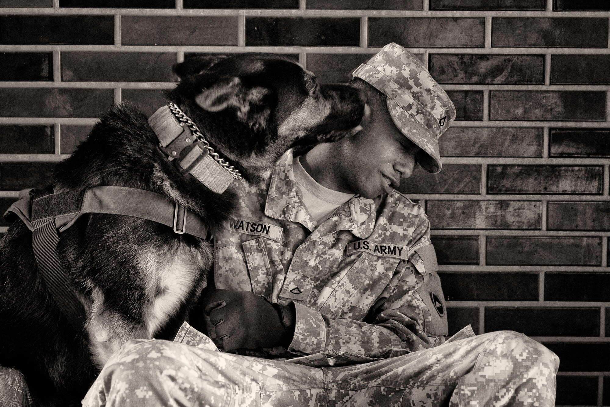 Private first class Rodney Watson, 901ST Military Police Detachment, plays with his canine, Buzo, during Yokota’s Top Dog competition at Yokota Air Base, Japan, May 16, 2016. The competition showcased the dogs and their handlers’ ability to work together and solve various problems including detection, building search and relay races. (U.S. Air Force photo by Senior Airman Delano Scott/Released)