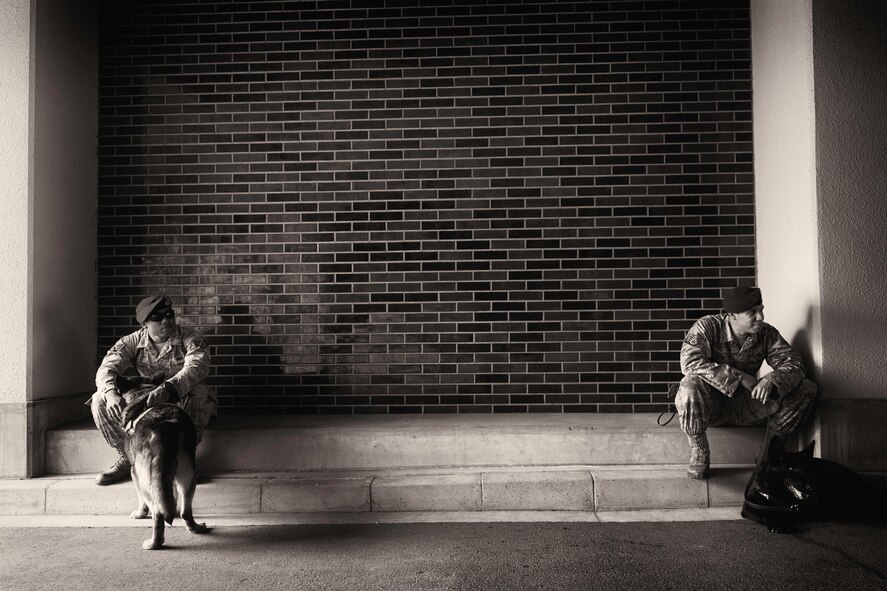 Staff Sgt. Dontae Stamps, left, and Staff Sgt. Edwin Ortiz, both 374th Security Forces Squadron military working dog handlers, relax with their canines during Yokota’s Top Dog competition at Yokota Air Base, Japan, May 16, 2016. Seven canine teams competed in the event as part of Police Week, which honors Security Forces Airmen, Air Force Office of Special Investigations agents and all other law enforcement officers who have served. (U.S. Air Force photo by Airman 1st Class Elizabeth Baker/Released)