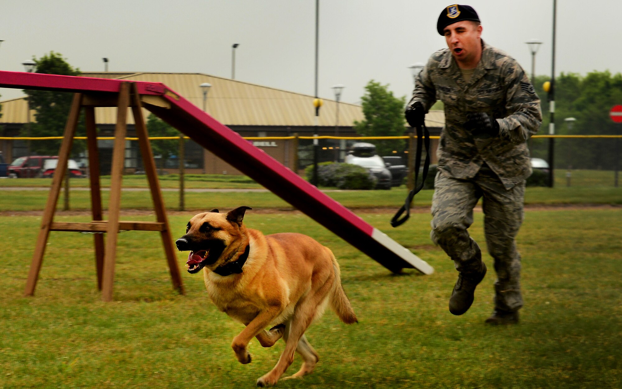 U.S. Air Force Staff Sgt. Kelly Webster, 100th Security Forces military working dog handler conducts a demonstration with his partner Tommy during a competition at Royal Air Force Lakenheath, England, May 19. The event is part of U.S. National Police week, which recognizes the men, women and their canine companions who wear the badge. (U.S. Air Force photo/ Tech. Sgt. Matthew Plew)