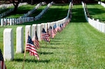 Miniature American flags adorn headstones for Memorial Day at Alexandria National Cemetery in Virginia. The cemetery is one of the 14 original national cemeteries established in 1862.