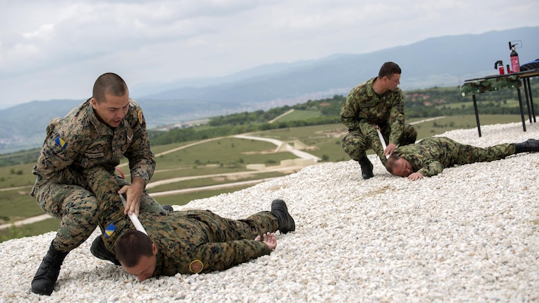 Soldiers with the Bosnian and Serbian Armed Forces demonstrate non-lethal weapons techniques including taking down an attacker, during exercise Platinum Wolf 2016 at Peacekeeping Operations Training Center South Base, Bujanovac, Serbia, May 20, 2016. The nations of Bosnia, Bulgaria, Macedonia, Montenegro, Slovenia, Serbia and the United States joined together during the final field exercises to demonstrate their abilities to conduct peacekeeping operations and the ability to work together.