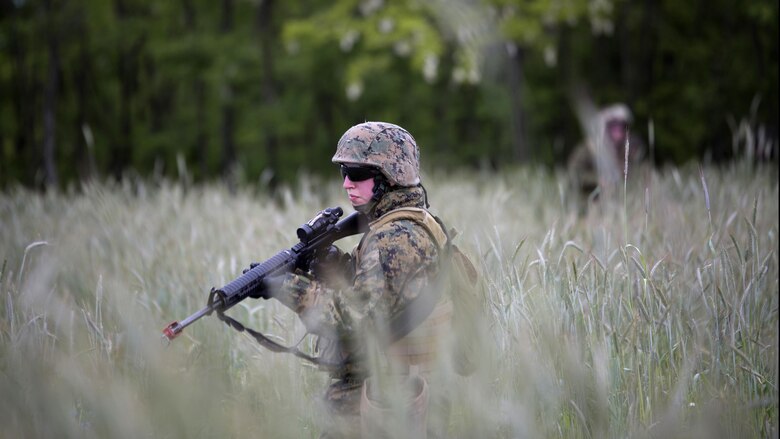 Lance. Cpl. Rebecca Brewer, military police, with 4th Law Enforcement Battalion, Force Headquarters Group, Marine Forces Reserve, patrols through high grass during exercise Platinum Wolf 2016 at Peacekeeping Operations Training Center South Base, Bujanovac, Serbia, May 16, 2016. The Marines joined partner nations from Bosnia, Bulgaria, Macedonia, Montenegro, Slovenia and Serbia to train in patrolling, cordon and search operations, peacekeeping operations, and non-lethal weapons.