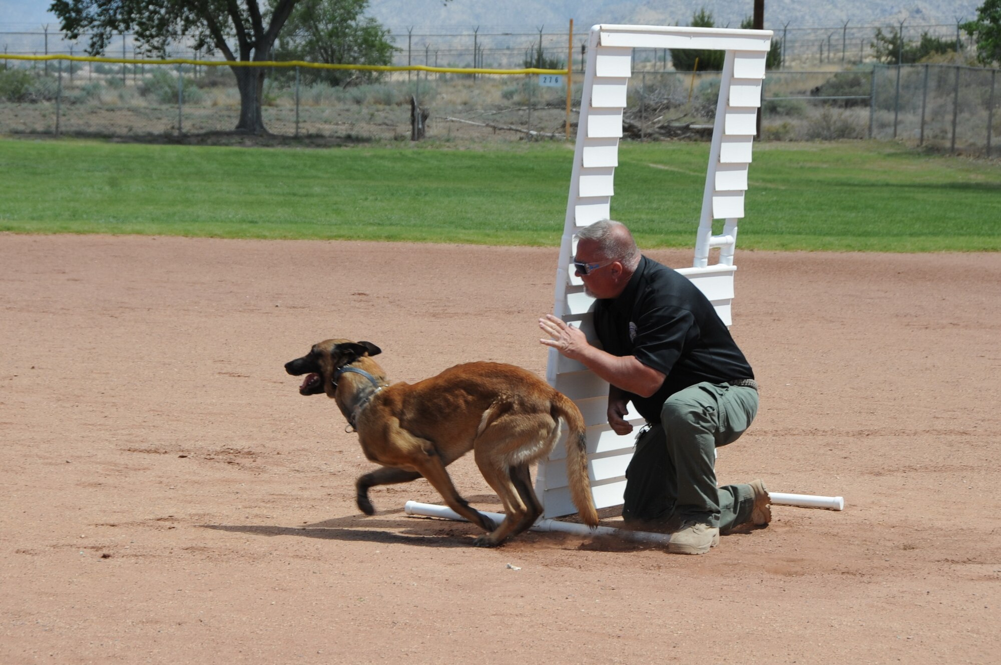 Ed Unis, a dog handler with the New Mexico Corrections Department, sends his canine partner Rudy after a decoy during the three-day Police Week working dog competition, May 16, 2016, Kirtland Air Force Base, New Mexico. (U.S. Air Force photo by Dennis Carlson)