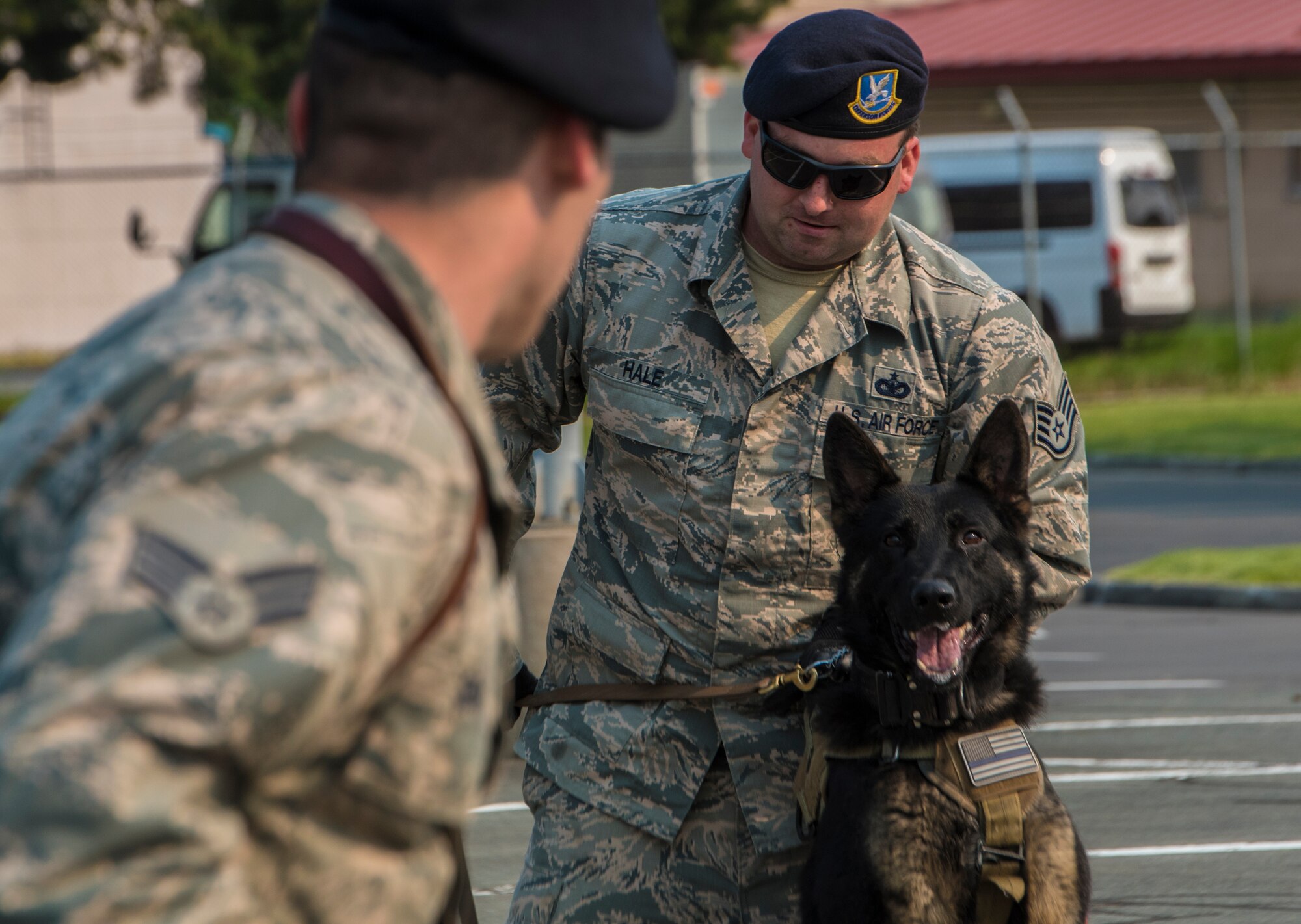 U.S. Air Force Staff Sgt. Joshua Hale and Senior Airman Charles Sena, military working dog handlers with the 35th Security Forces Squadron, conduct a military working dog demonstration during Police Week at Misawa Air Base, Japan, May 19, 2016. In addition to the MWD demonstration, the event featured a weapons display and vehicle display. (U.S. Air Force photo by Airman 1st Class Jordyn Fetter)