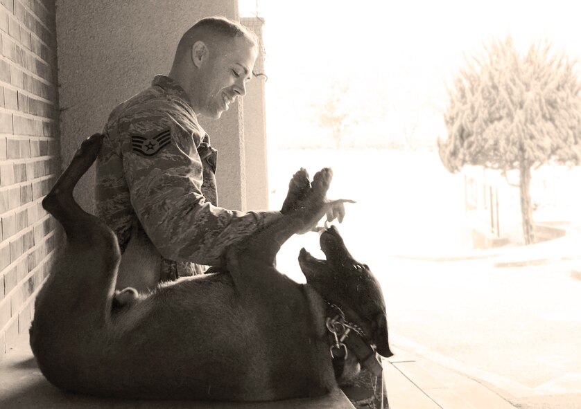 Staff Sgt. Nicholas Galbraith, 374th Security Forces Squadron military working dog handler, relaxes with his canine, Topa, in between events at Yokota’s Top Dog competition at Yokota Air Base, Japan, May 16, 2016. Seven canine teams competed in the competition as part of Police Week  honoring Security Forces Airmen, Air Force Office of Special Investigations agents and all other law enforcement officers who have served. (U.S. Air Force photo by Airman 1st Class Elizabeth Baker/Released) 