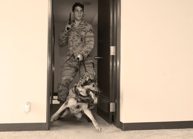 Staff Sgt. Jordan Gunterman, 374 SFS military working dog handler, and his canine, Izo, sweep a room for simulated enemy combatants during Yokota’s Top Dog competition at Yokota Air Base, Japan, May 16, 2016. Izo and working dogs from across Japan participated in Yokota’s Top Dog competition, facing off in various categories such as high risk traffic stops, bomb and drug detection and building searches. (U.S. Air Force photo by Airman 1st Class Elizabeth Baker/Released)