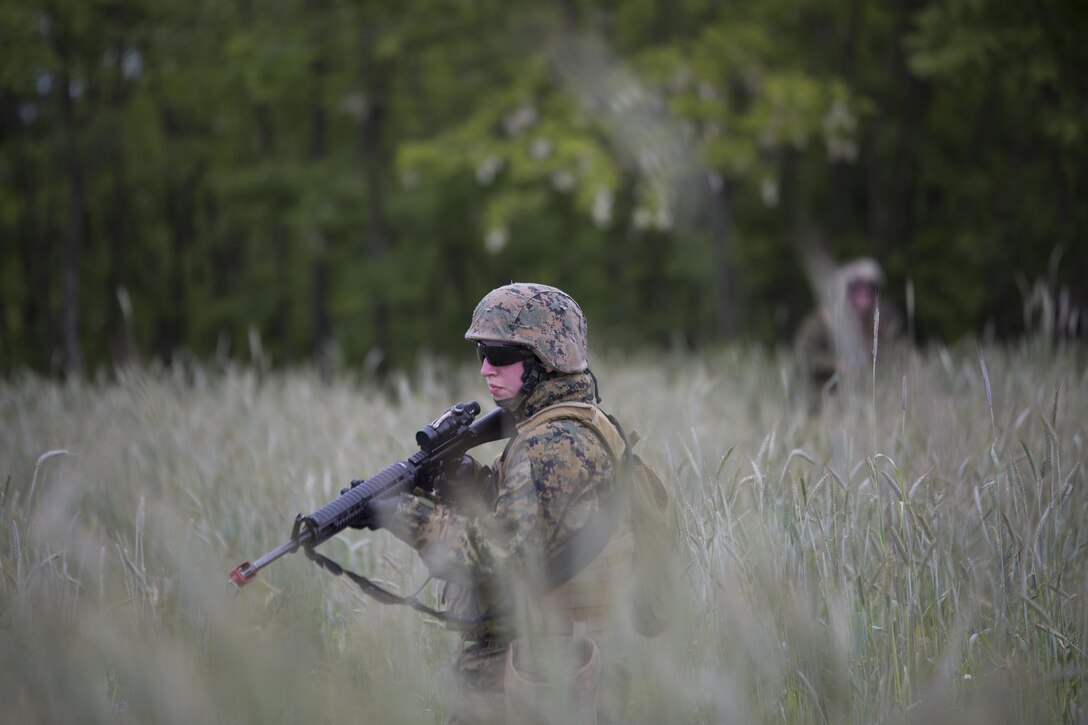 Lance. Cpl. Rebecca Brewer, military police, with 4th Law Enforcement Battalion, Force Headquarters Group, Marine Forces Reserve, patrols through high grass during exercise Platinum Wolf 2016 at Peacekeeping Operations Training Center South Base, Bujanovac, Serbia, May 16, 2016. The Marines joined partner nations from Bosnia, Bulgaria, Macedonia, Montenegro, Slovenia and Serbia to train in patrolling, cordon and search operations, peacekeeping operations, and non-lethal weapons.