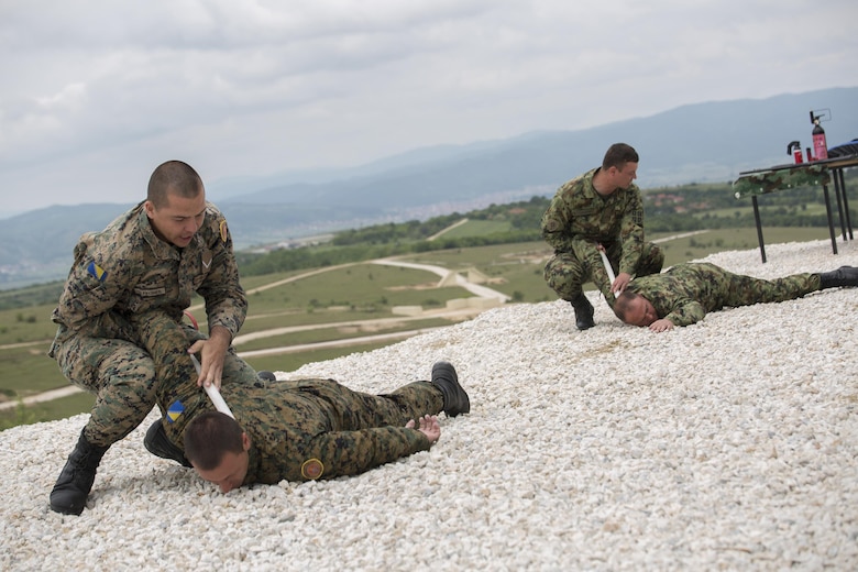 Soldiers with the Bosnian and Serbian Armed Forces demonstrate non-lethal weapons techniques including taking down an attacker, during exercise Platinum Wolf 2016 at Peacekeeping Operations Training Center South Base, Bujanovac, Serbia, May 20, 2016. The nations of Bosnia, Bulgaria, Macedonia, Montenegro, Slovenia, Serbia and the United States joined together during the final field exercises to demonstrate their abilities to conduct peacekeeping operations and the ability to work together.