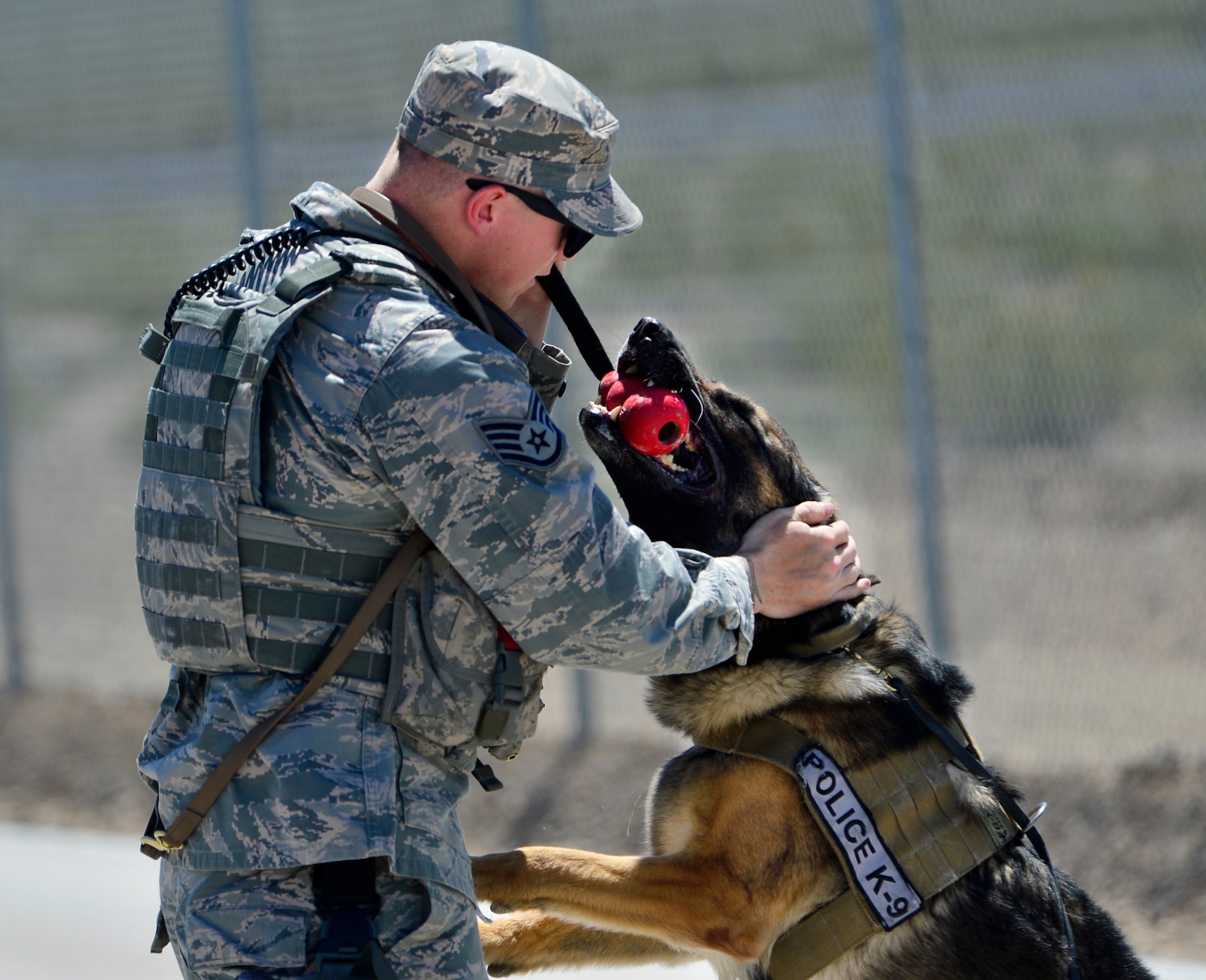 Staff Sgt. John, 799th Security Forces Squadron military working dog handler, rewards MWD Toby after finding contraband during a training exercise May 11, 2016, at Creech Air Force Base, Nevada. National Police Week takes place annually to honor the service and sacrifice of civilian and military law enforcement members. (U.S. Air Force photo by Senior Airman Christian Clausen/Released)