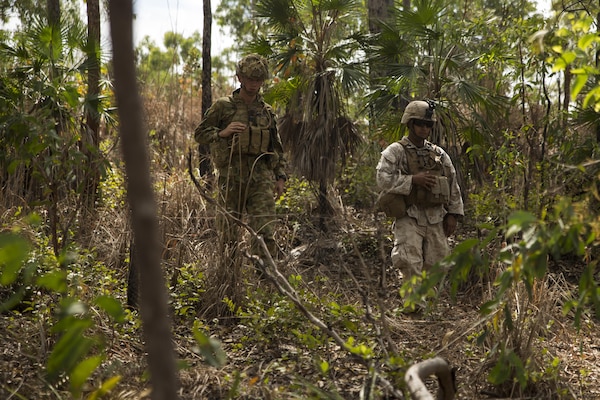 Australian Army Pvt. Jayden S. Oldride and U.S. Marine Cpl. Ernesto Argote, combat engineers, search through the thicket at Hidden Valley Motor Sports Complex, Northern Territory, Australia, on May 19, 2016. U.S. Marine and Australian Army combat engineers conducted clearing training to find improvised explosive device and caches. Marine Rotational Force - Darwin is a six-month deployment of Marines into Darwin, Australia, where they will conduct exercises and train with the Australian Defence Forces, strengthening the U.S.-Australia alliance. Oldride, from Campbelltown, New South Wales, Australia, is with 1st Combat Engineer Regiment, 1st Brigade. Argote, from Los Angeles, California, is with 1st Combat Engineer Battalion, MRF-D.