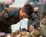 Japan Air Self-Defense Force Staff Sgt. Daichi Kubota, 401st Squadron C-130H loadmaster, performs a joint airdrop inspection at Yokota Air Base, Japan, May 18, 2016. Members of JASDF familiarized JAI procedures in preparation to drop USAF’s heavy equipment and high-velocity container delivery systems during the exercise Red-Flag Alaska. (U.S. Air Force photo by Yasuo Osakabe/Released)