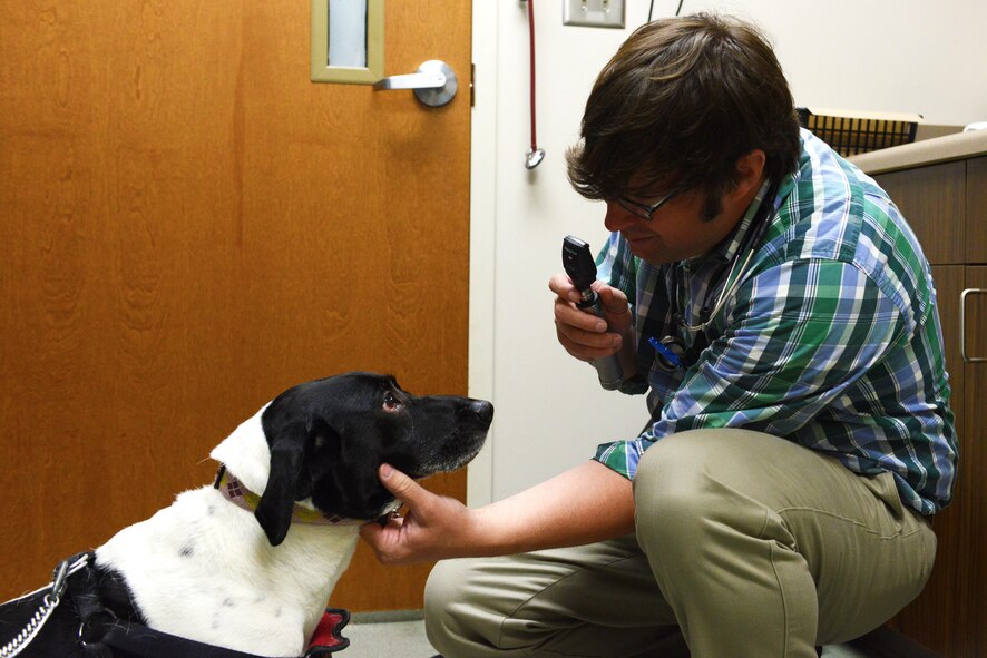 Leeland Raymond, Public Health Command veterinarian, checks a dog’s eyes at Shaw Air Force Base, S.C., May 24, 2016. The Shaw Veterinary Treatment Facility provides annual check-ups, basic wellness and preventative care and sick calls for approximately 200 pets a month. (U.S. Air Force photo by Airman 1st Class Destinee Dougherty)