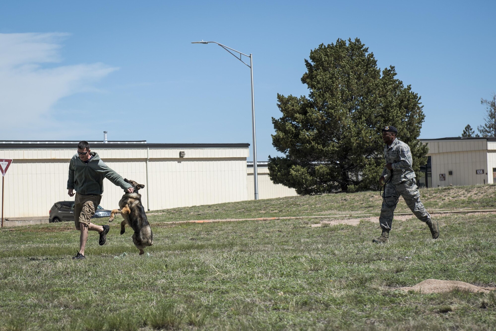 Staff Sgt. Keenan Mondragon, 21st Security Forces Squadron military working dog trainer, gets taken down by a military working dog during a demonstration at the Kickoff to Summer event at Peterson Air Force Base’s Outdoor Recreation on May 23, 2016. The event provided fun family activities, like a color run, bounce castles, music, a bike rodeo, food and more to begin the summer season. (U.S. Air Force photo by Senior Airman Rose Gudex)
