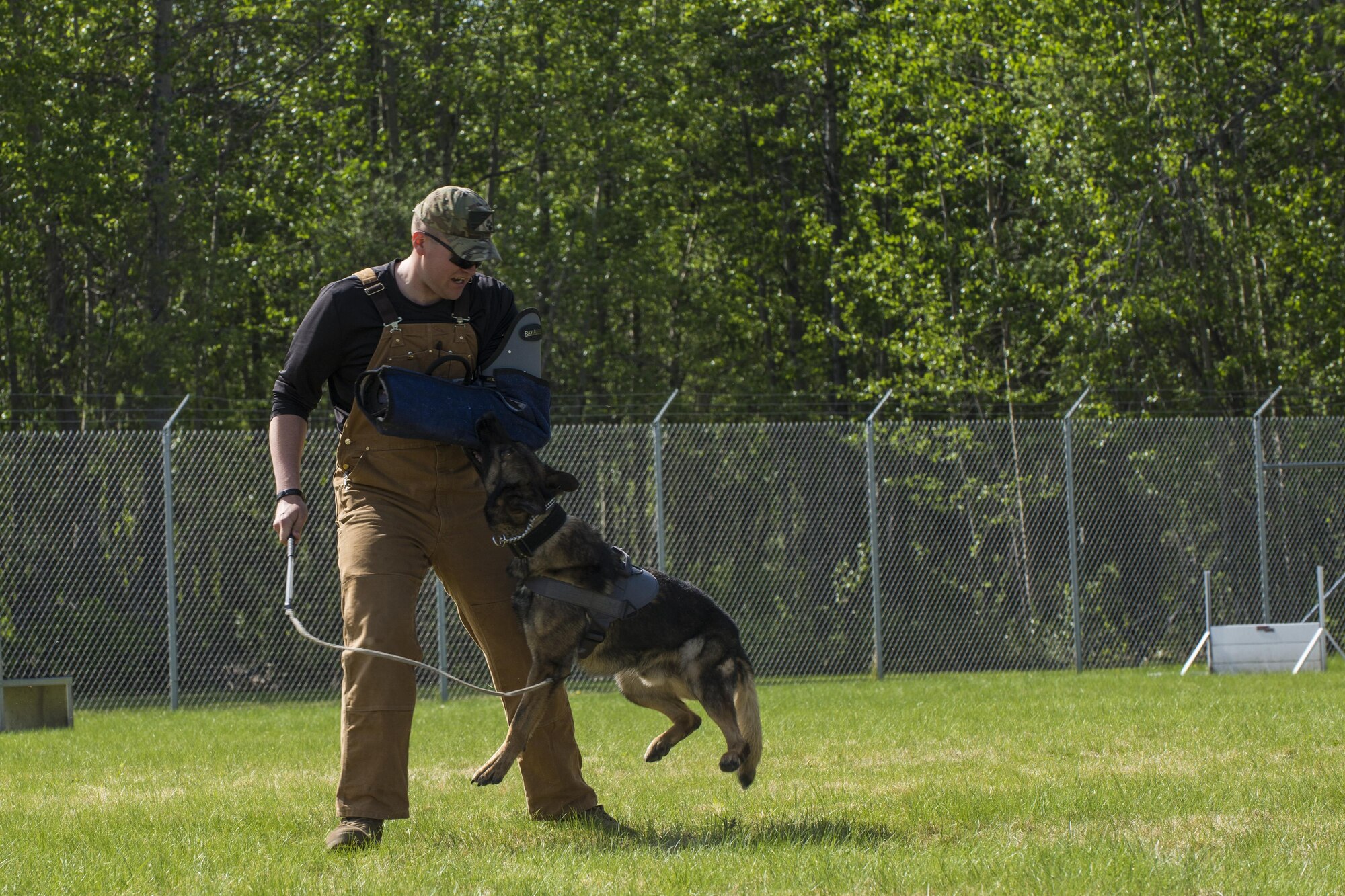 U.S. Air Force Military Working Dog (MWD) Tedy attacks U.S. Army Specialist Corbin Fuller, a handler with the 549th MWD Detachment at Fort Wainwright, Alaska, during a competition at Eielson Air Force Base, Alaska, May 19, 2016, as part of National Police Week activities. The MWD competition was one of the events for the week, along with equipment displays, a small arms competition and the Fallen Heroes 5K run/Ruck. (U.S. Air Force photo by Staff Sgt. Joshua Turner/Released)