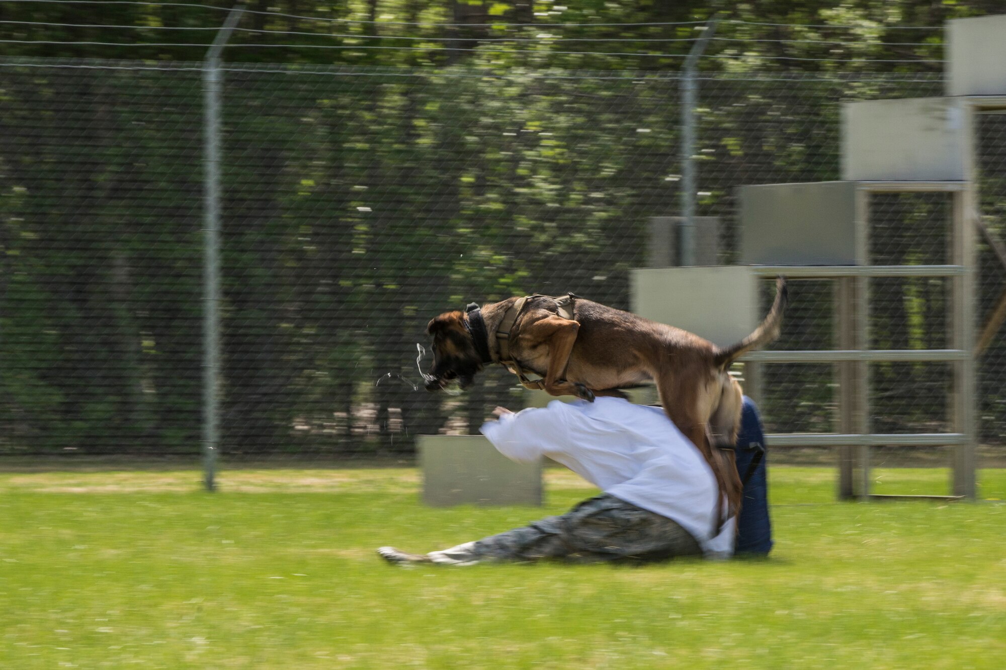 Military Working Dog (MWD) Oopal attacks U.S. Air Force Staff Sgt. Richard Hutson, a 354th Security Force Squadrons MWD handler role-playing as a suspect, during a competition at Eielson Air Force Base, Alaska, May 19, 2016, as part of National Police Week activities. Police Week is a time set aside to remember those who have fallen defending others and learn how law enforcement and security forces members contribute to public safety on a daily basis. (U.S. Air Force photo by Staff Sgt. Joshua Turner/Released)
