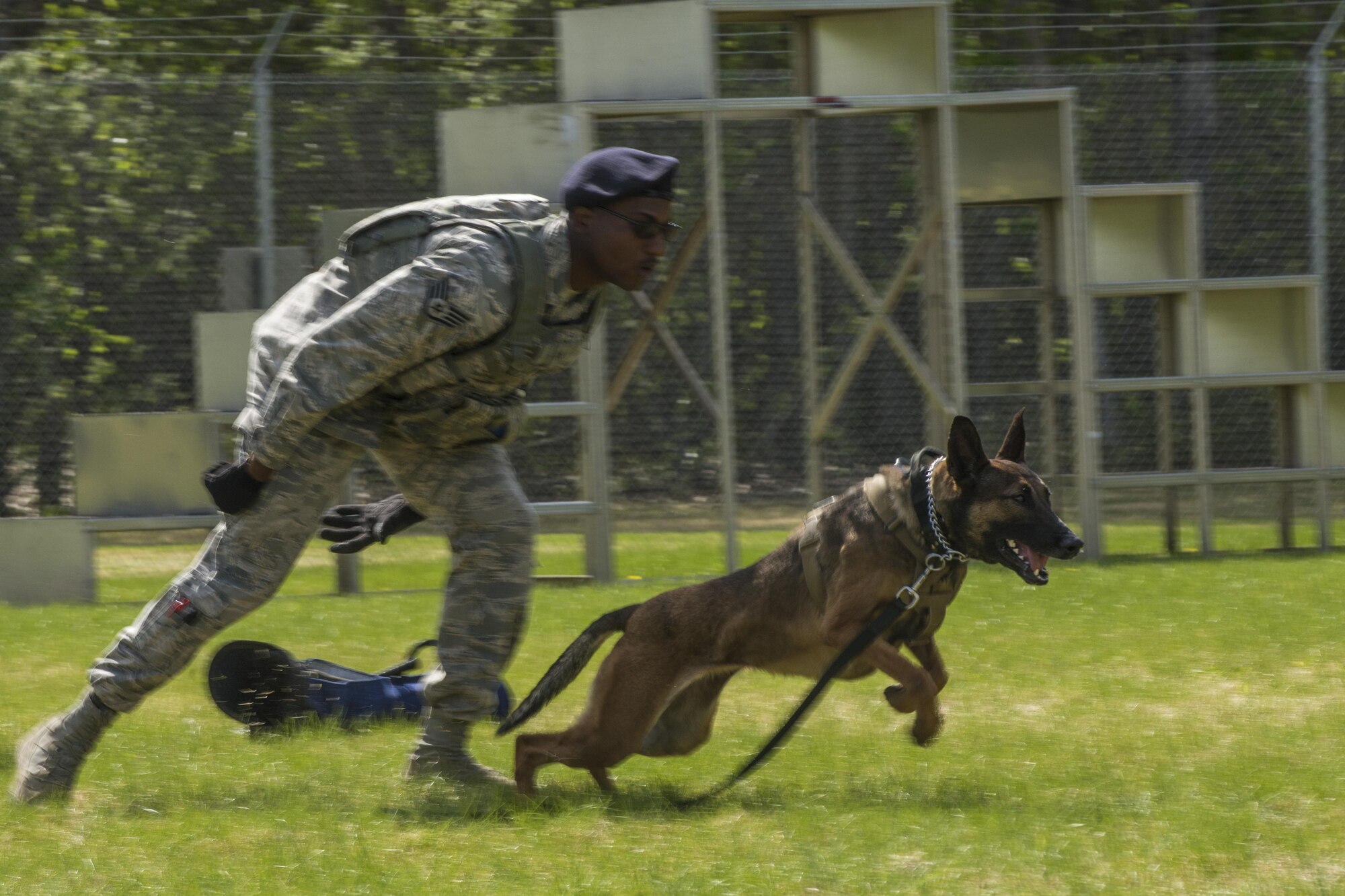 U.S. Air Force Staff Sgt. Mathis Williams, a 354th Security Forces Squadron (SFS) MWD handler, commands MWD Oopal during the MWD competition at Eielson Air Force Base, Alaska, May 19, 2016, as part of National Police Week activities. The 354th SFS partnered with local law enforcement and U.S. Army counterparts to celebrate Police Week. (U.S. Air Force photo by Staff Sgt. Joshua Turner/Released)