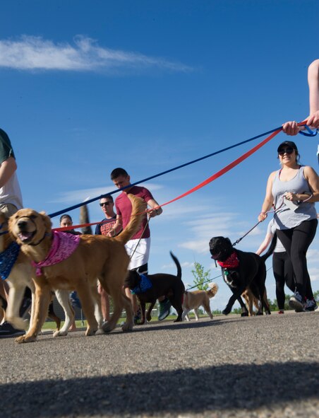 Participants walk their dogs during the Shaggy Shuffle at Minot Air Force Base, N.D., May 24, 2016. The second-annual Shaggy Shuffle was an event to raise awareness for pet abuse. (U.S. Air Force photo/Senior Airman Apryl Hall)