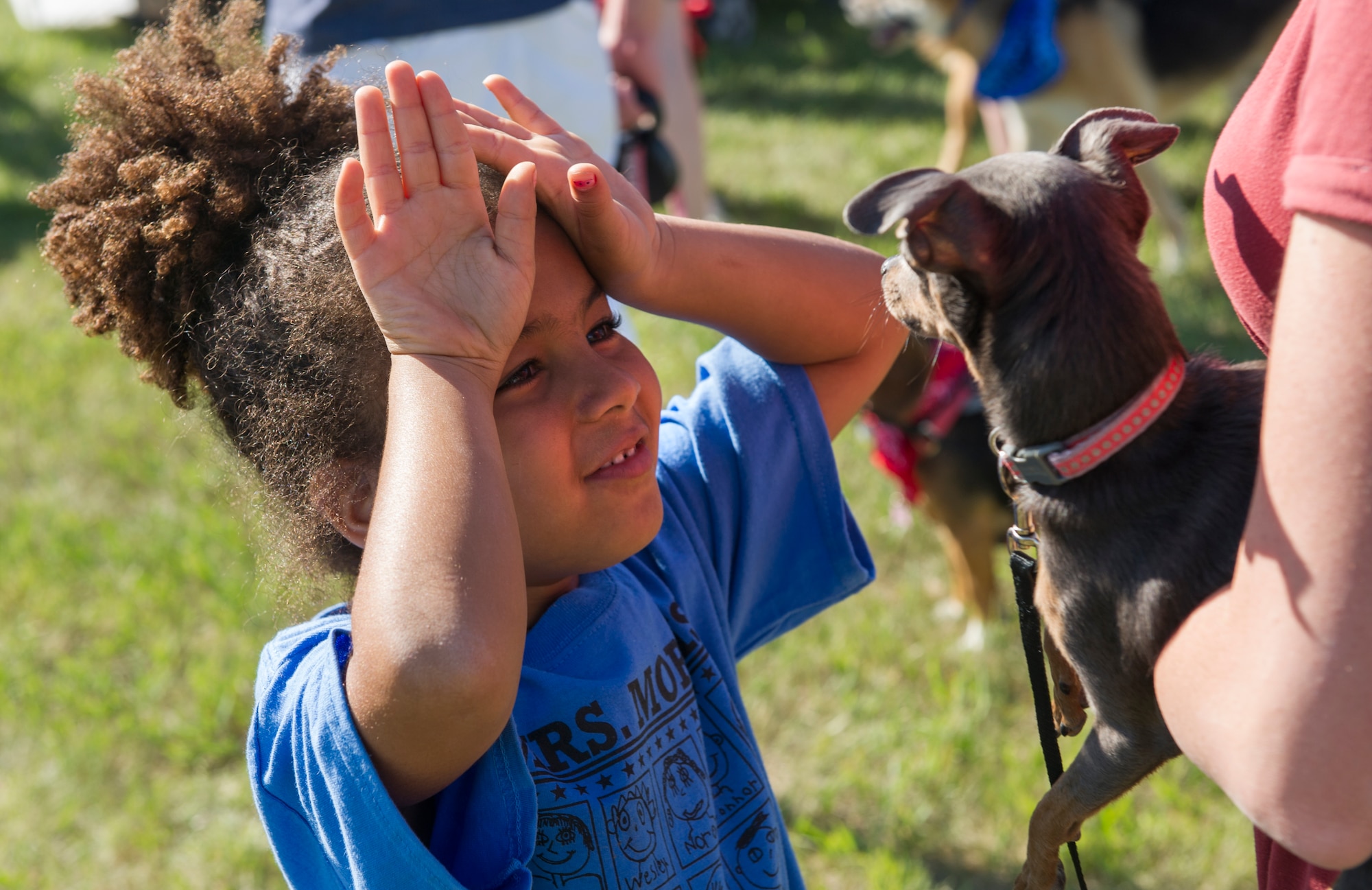 A little girl admires “Smallest Dog” winner Scooter during the Shaggy Shuffle at Minot Air Force Base, N.D., May 24, 2016. During the event, participants went for a walk and then had a friendly competition for various pet categories. (U.S. Air Force photo/Senior Airman Apryl Hall)