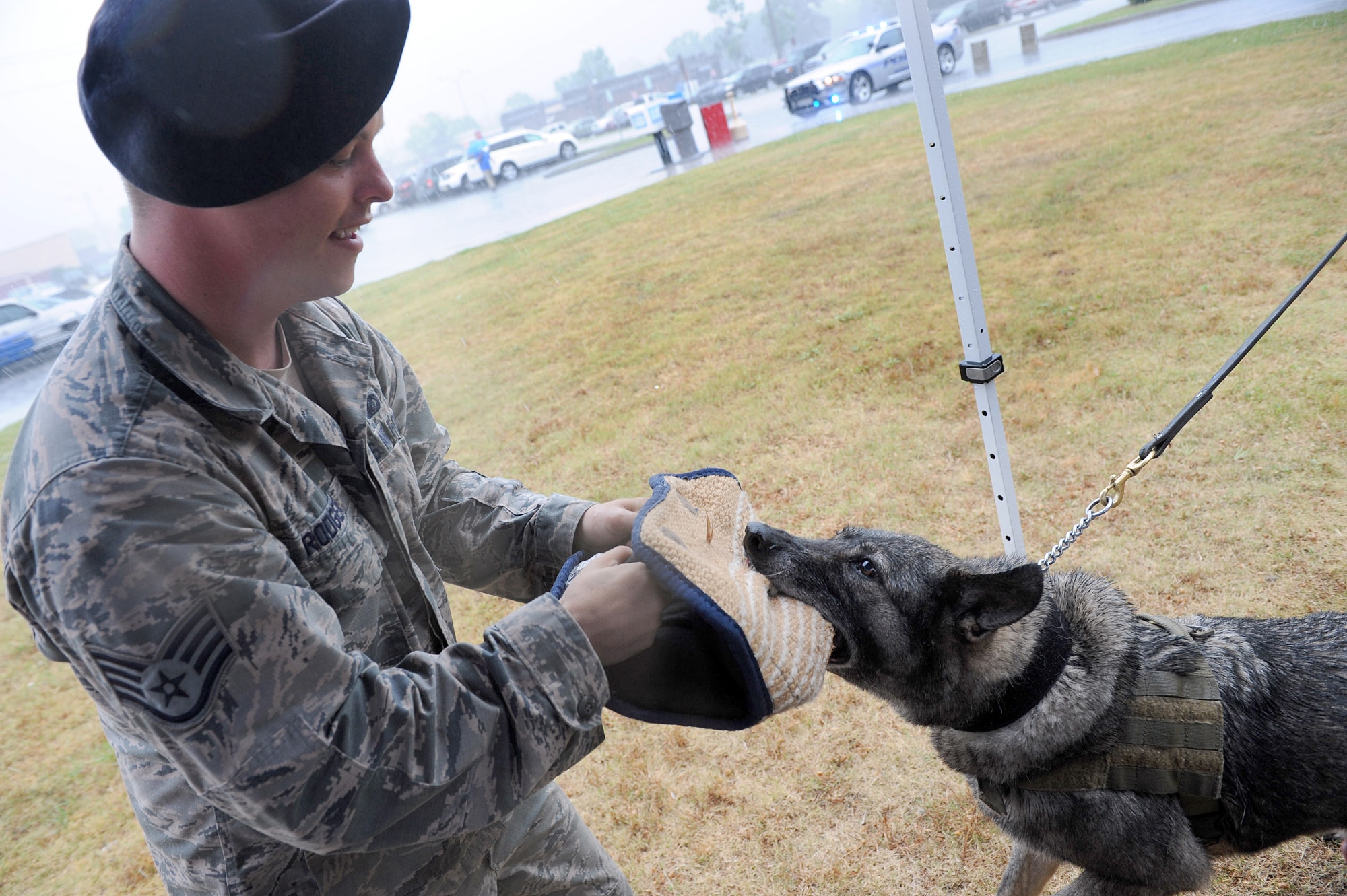 Staff Sgt.William Rodgers, Military Working Dog handler, and MWD Soyer, give a demonstration during a Police Week event at the Base Exchange May 17. (U.S. Air Force photo by Tommie Horton)
