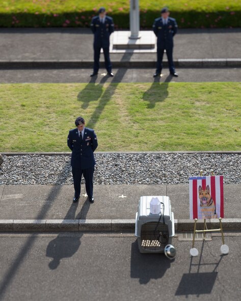 Yokota defenders from the 374th Security Forces Squadron stand in places before a retreat ceremony May 19, 2016 at Yokota Air Base, Japan. The ceremony was held during Police Week, which recognizes the service of law enforcement members and military working dogs who put their lives at risk every day. Recently, MWD Allen/L220 passed away from cancer. (U.S. Air Force photo by Yasuo Osakabe/Released) 