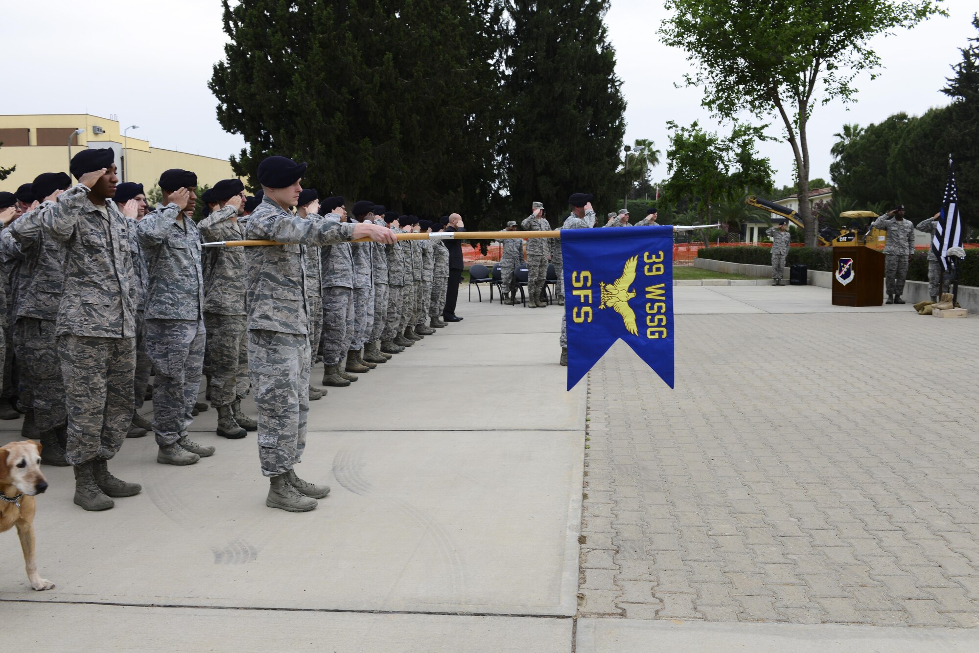 Members of the 39th Security Forces Squadron and their counterparts render a salute during a National Police Week retreat ceremony May 15, 2016, at Incirlik Air Base, Turkey. The ceremony allowed time for those in attendance to honor fallen law enforcement officers. (U.S. Air Force photo by Staff Sgt. Caleb Pierce/Released)