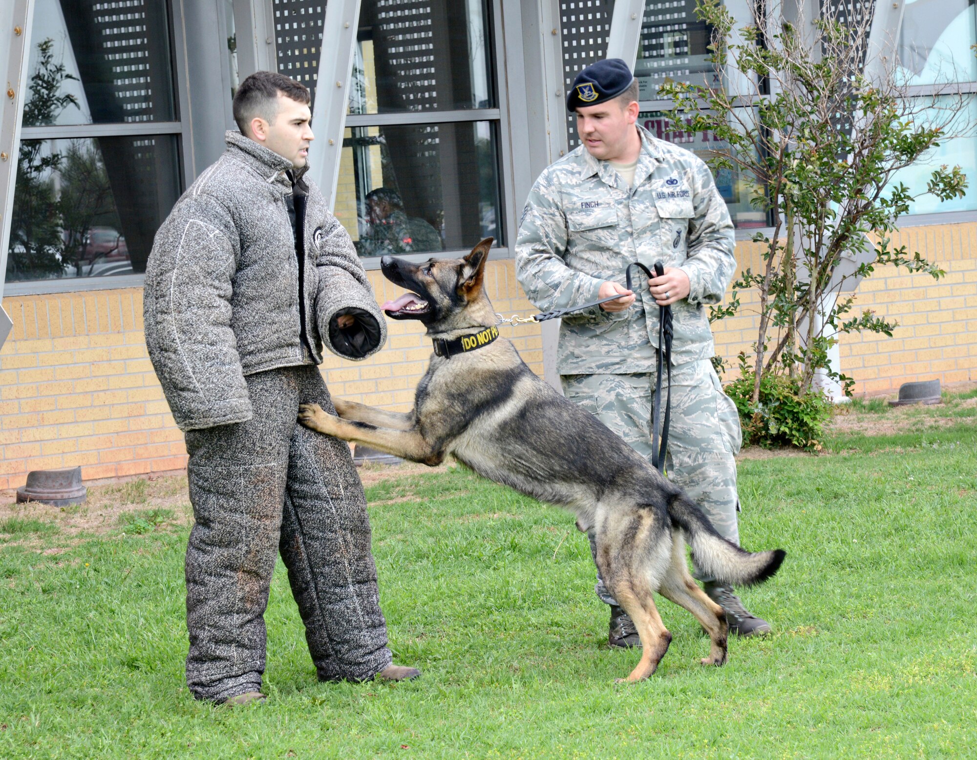 Staff Sgt. Dylan Finch and Military Working Dog Aruba subdue Senior Airman Carlton Isaacson during a demonstration at the Base Exchange on May 16 as part of the 2016 Police Week events. (Air Force photo by Kelly White/Released)