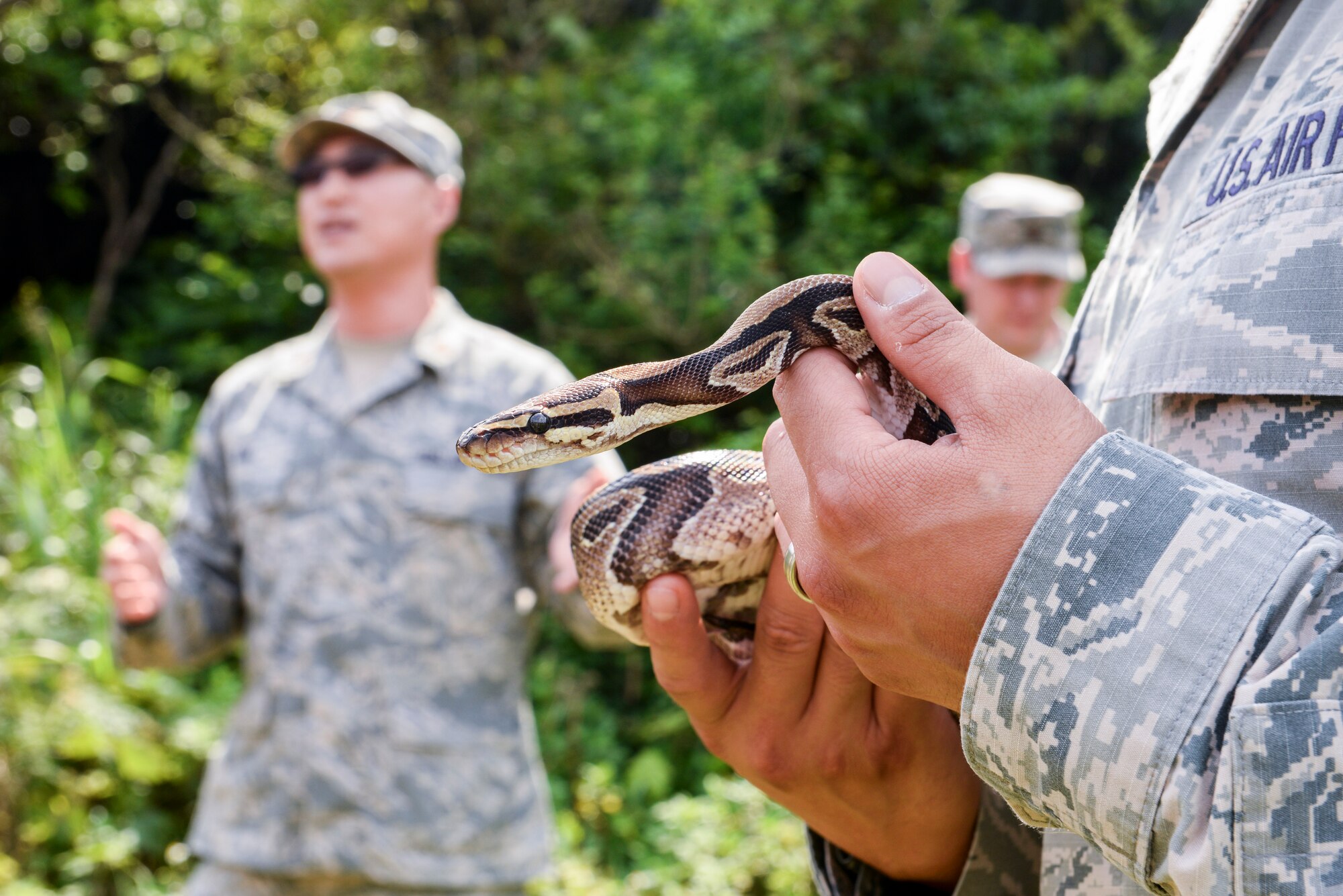 Airmen from the 18th Medical Group pass around a non-venomous snake during a field training exercise, May 20, 2016, at Area One, Kadena Air Base Japan. 18th Civil Engineer Group entomology Airmen gave a pest management briefing to showcase specific Okinawan vectors such as the habu snake and more. (U.S. Air Force photo by Senior Airman John Linzmeier) 