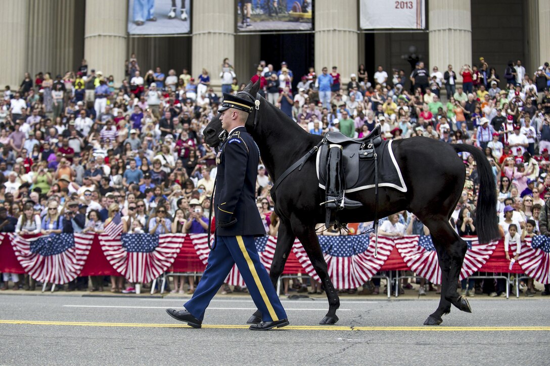 A soldier from the 3rd U.S. Infantry Regiment, known as "The Old Guard," leads a riderless horse during the Memorial Day parade in Washington, D.C., May 27, 2013. The riderless horse carries a soldier's boots reversed in the stirrups. Army photo by Staff Sgt. Teddy Wade