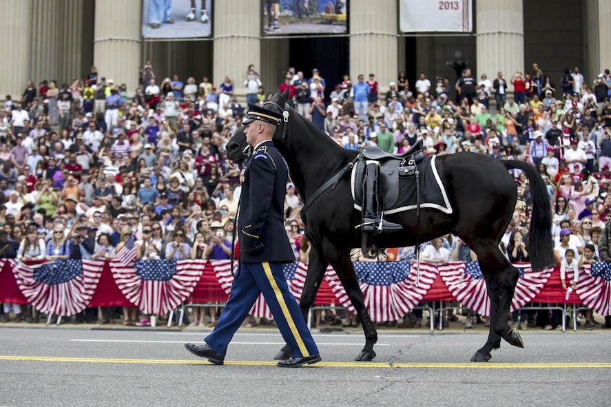 A soldier leading a riderless horse.