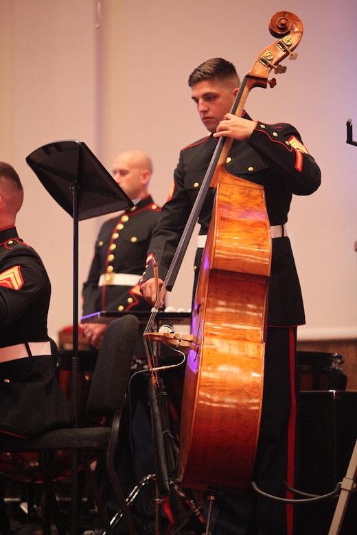 Sgt. Steven Frigiola plays a stringed bass during the Salute to the Troops event in Garner, N.C., May 22, 2016. Comprised of more than 40 Marines, the 2nd MAW band strives to share the Marine Corps’ traditions, values and esprit de corps with the local community. The band also supports local military units and squadrons by performing for change of command ceremonies, retirements, and other military events.  Frigiola is a string bass player with the 2nd MAW Band. 