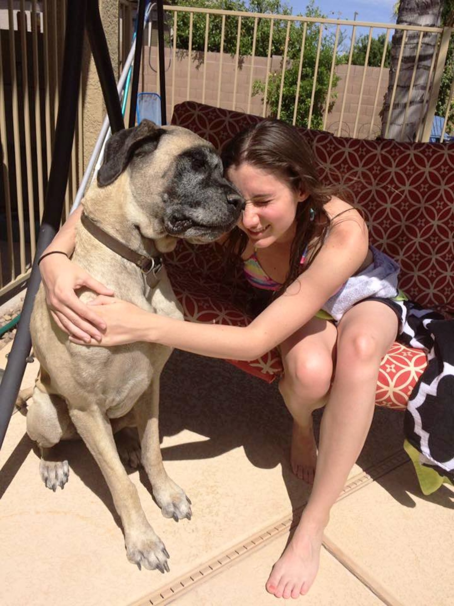 Cadet 2nd Class Emily Martin shares a moment with her 200-pound mastiff, Scooby, at her parent's home in Gilbert, Arizona earlier this year. Martin is majoring in political science at the U.S. Air Force Academy and hopes to attend flight school after she graduates in 2017. (Courtesy photo)