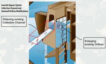 As part of the Lower Granite Juvenile Bypass System improvements construction, the Juvenile Collection Channel inside the dam will be widened. Gatewell orifices inside the dam, through which juvenile fish travel, will also be enlarged. Both improvements will help juvenile fish migrate downstream. US Army Corps of Engineers illustration. 