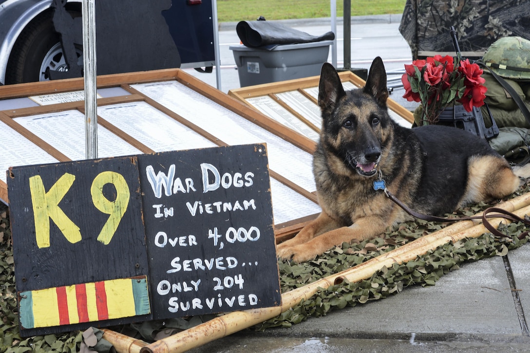 Luke, a retired military working dog, sits next to the U.S. War Dogs Association display at the 2016 Shaw Air Expo and open house at Shaw Air Force Base, S.C., May 21, 2016.