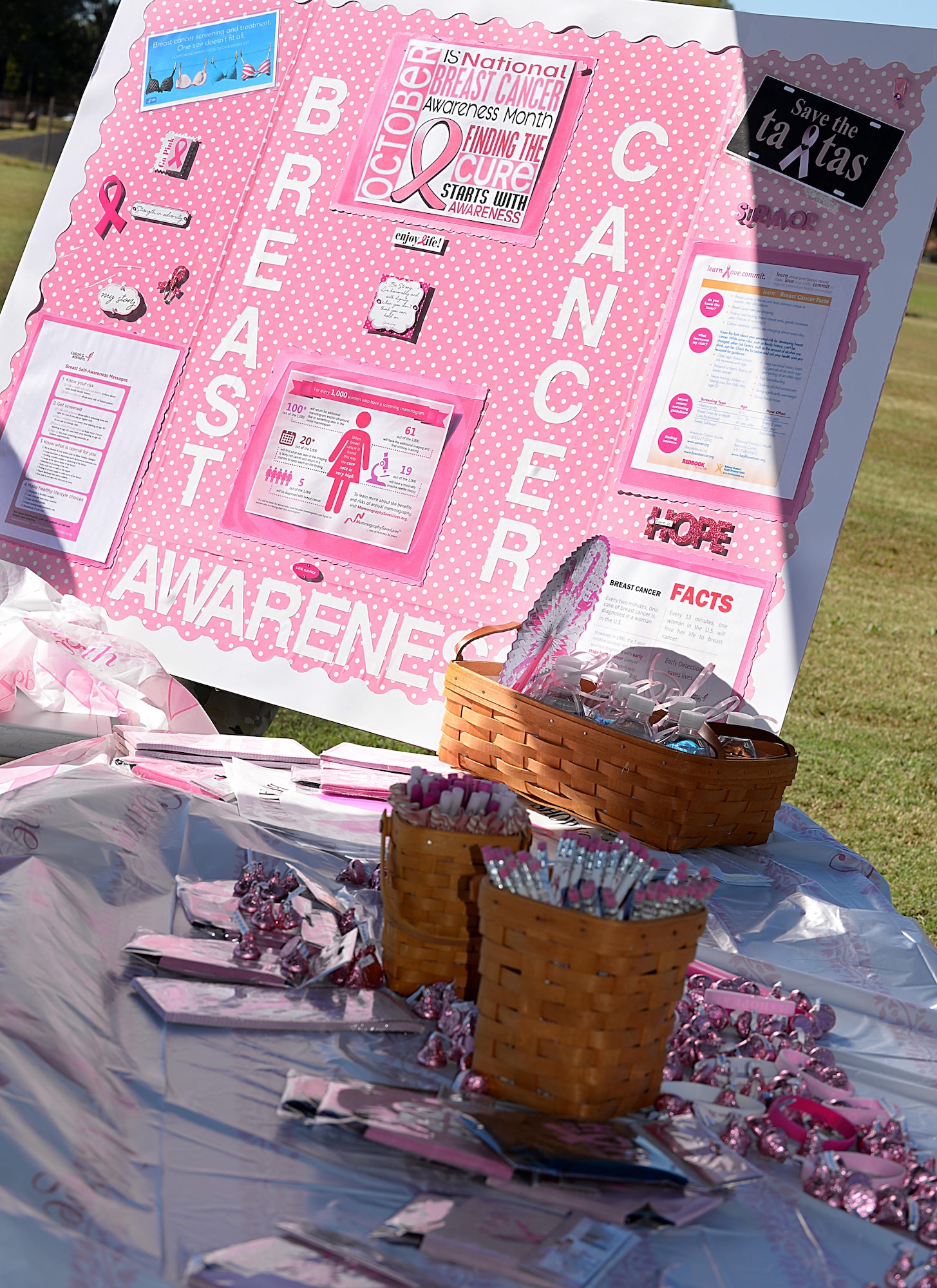 Statistics and other information were displayed at the Breast Cancer Awareness Month walk at Joint Base Langley-Eustis, Va., Oct. 28, 2016. Members of McDonald Army Health Center organized the annual walk on the installation to remind and encourage women to schedule their annual mammogram screenings. (U.S. Air Force photo by Staff Sgt. Teresa J. Cleveland)