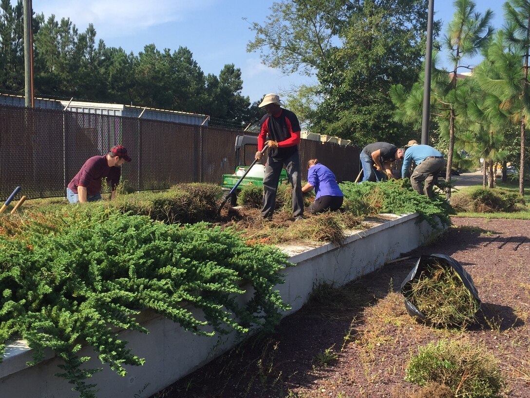 (Left to Right) Marcus De La Rosa, Demetrius McGlohn, Heather Brown, Eric Torres and Lance Van Wormer remove invasive plants from garden beds on National Public Lands Day at United States Army Reserve Command at Fort Bragg. (Photo by Jonelle Kimbrough)