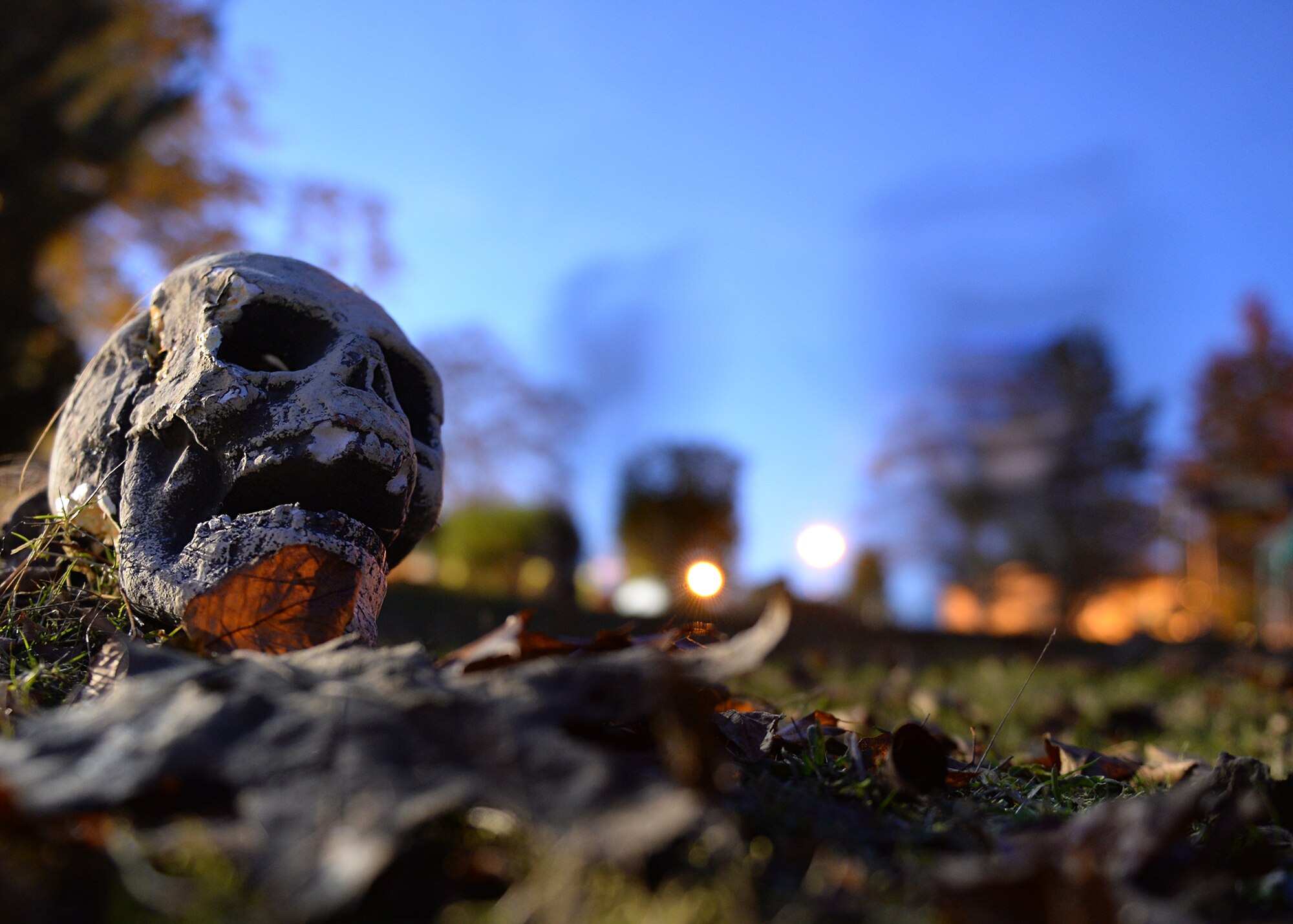 A prop skull rests on the ground during a Trunk or Treat event at Ramstein Air Base, Germany, Oct. 31, 2016. After visiting decorated trunks and collecting candy, families had the opportunity to venture through a haunted trail before continuing their night of trick or treating. (U.S. Air Force photo by Senior Airman Jimmie D. Pike)