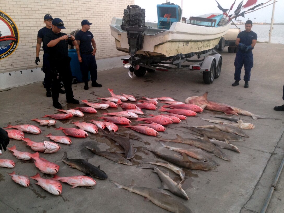 The catch from a lancha interdicted near the U.S./Mexico maritime border is
documented after the crew of the Coast Guard Cutter stopped one of five
lanchas sighted fishing illegally in U.S. waters. (U.S. Coast Guard photo)
