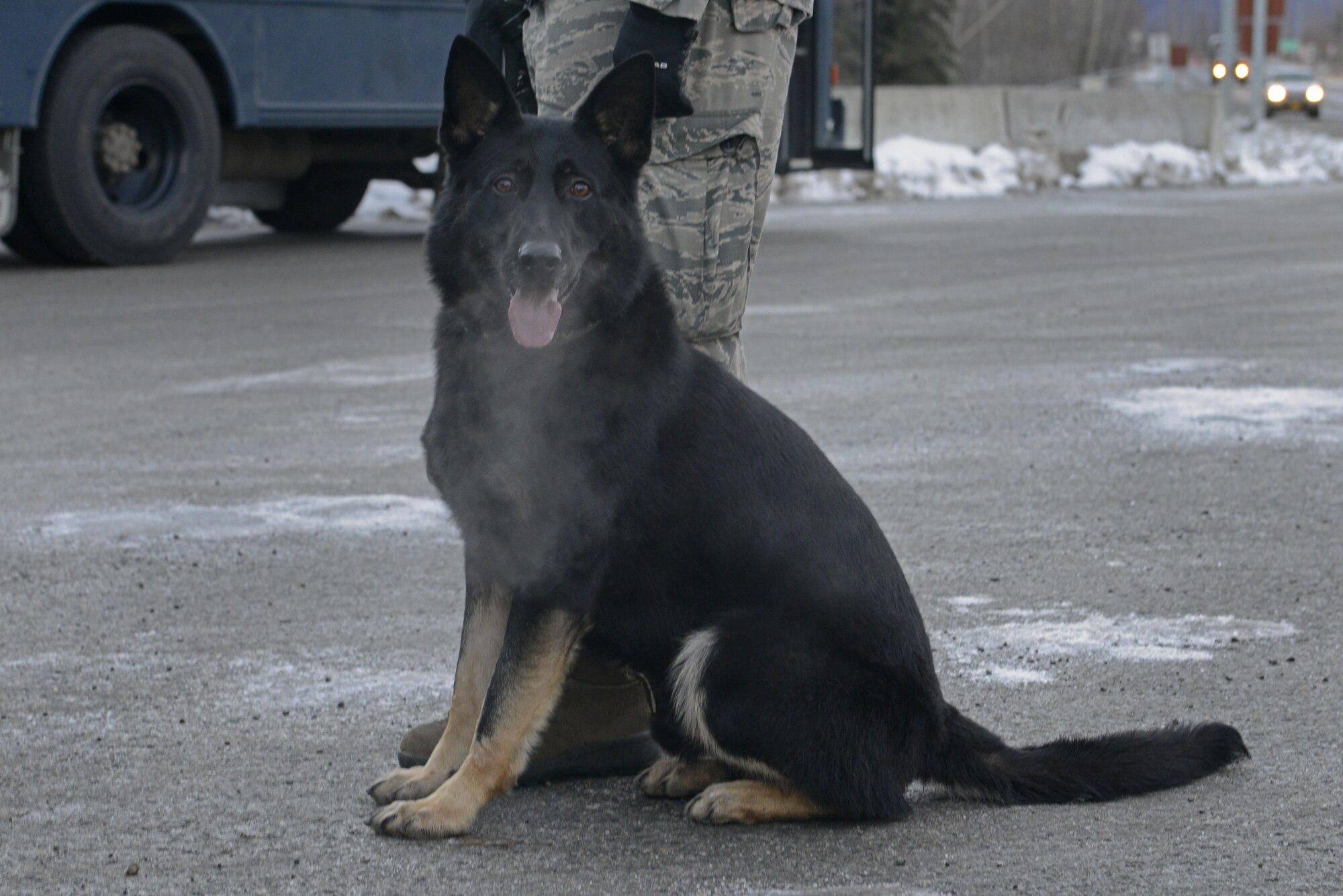 Joint Base Elmendorf-Richardson security forces personnel perform security operations during a simulated protest as part of exercise Polar Force 17-1 at JBER, Alaska, Nov. 1, 2016. The simulated protest began as a peaceful demonstration which escalated, resulting in a few aggressive protesters being detained and turned over to local law enforcement. The exercise tests the base's ability to integrate, mobilize, and prepare assigned personnel, aircraft and equipment for a wartime mission and to employ forces and weapons systems. 