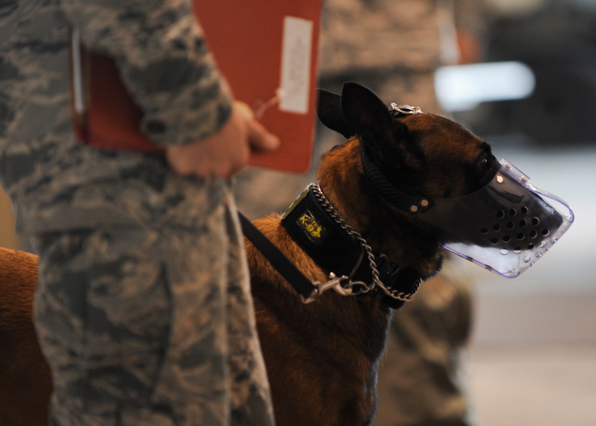 A military working dog waits to go through the personnel deployment function (PDF) line with his handler during Exercise Global Thunder 17 (GT17) at Whiteman Air Force Base, Mo., Oct. 26, 2016. The PDF line consists of representatives from different base agencies who ensure deploying personnel are properly accounted for and prepared to deploy. GT17 is an annual command and control exercise designed to train U.S. Strategic Command forces and assess joint operational readiness. (U.S. Air Force by Senior Airman Danielle Quilla)